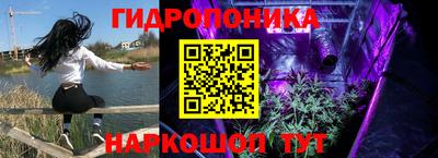 не бодяженный Краснодар