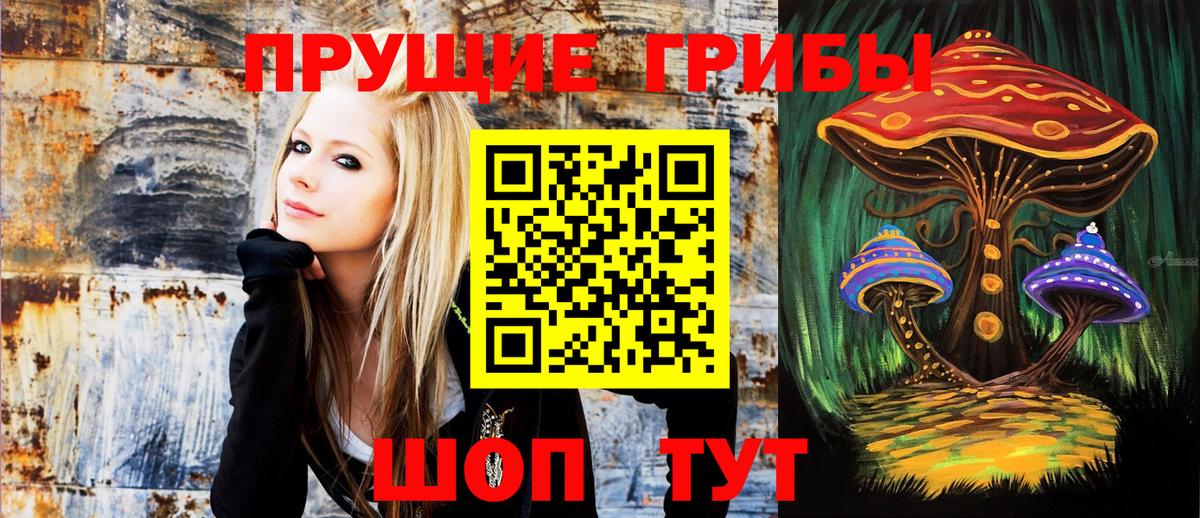 Галлюциногенные грибы Psilocybe  Галлюциногенные грибы прущие грибы  Вход с VPN  Троицк 